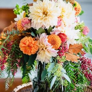 Meet your Posher, Alison